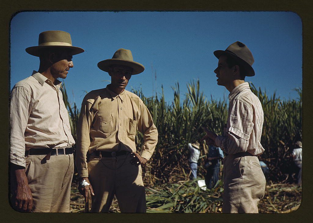 Three sugar cane workers in straw hats talking at the edge of a cane field near Rio Piedras, Puerto Rico, December 1941